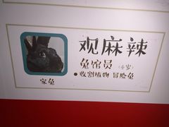 -上海观复博物馆
