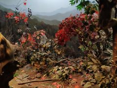 -陕西自然博物馆