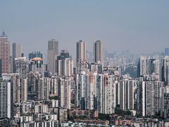 -南山植物园