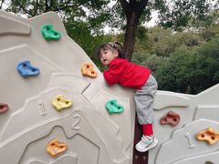 -苏州河梦清园环保主题公园