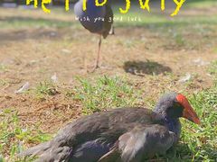 -费瑟代尔野生动物园