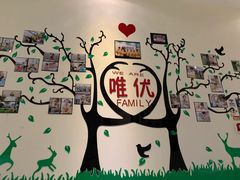 -唯优·注意力·专注力·语言发育