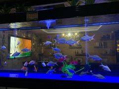 -润青四季音乐主题餐厅·椰子鸡(罗湖店)