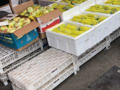 -大连果菜批发市场