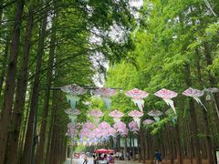 -日照海滨国家森林公园