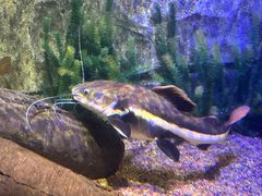 -沈阳海洋探索中心