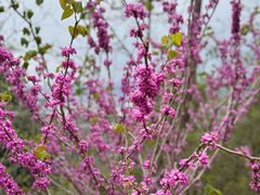 -天台山赤城山景区