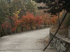 -北京鹫峰国家森林公园