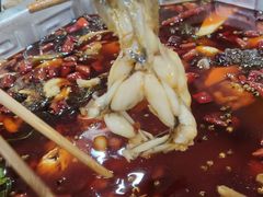 美蛙-王朝花椒鱼(杉板桥南一路店)