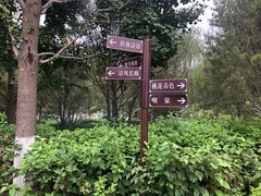 -康庄公园