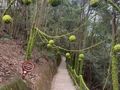 -浏阳石牛寨风景区