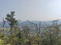 -青龙山国家森林公园