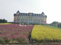 -百万葵园