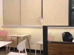 大堂-喵匠猫主题咖啡(凯德和平广场店)