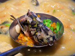 酸辣黄骨鱼-陈大锅·岳阳鱼馆·地道岳阳菜(美食街店)