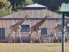 -哈尔滨北方森林动物园