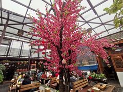 -丽江庭院之爱在路上(西单店)