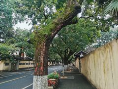 -颐和路民国时期公馆风貌区