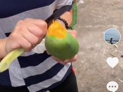-城南综合水果批发市场(花园路店)