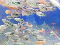 -大润发(王庄店)