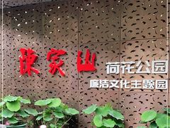 -陈家山荷花公园