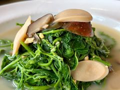 上汤桑叶芽-巴扎美食·新疆菜·西域歌舞表演餐厅(新疆大厦店)