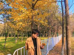 -艾溪湖湿地公园