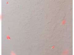 -田德能咖啡博物馆