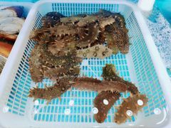 -港畔赶海蒸汽海鲜烧烤自助(仙螺岛店)