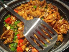 -蛙小侠·沸腾砂锅牛蛙(增城东汇城店)