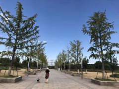 -九里河湿地公园