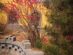 -西北印象佳宴(兴华街中段店)