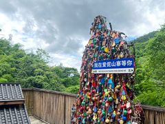 -西双版纳原始森林公园