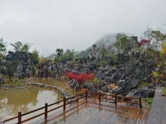 -千岛湖石林
