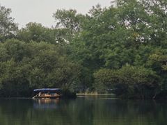-西湖游船