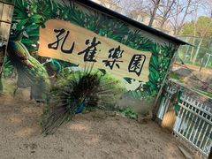 -荆州中山公园动物园