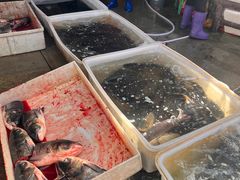 -岳各庄批发市场(西四环中路店)