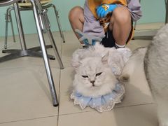 -怪兽屋·羊驼·猫咖·狗咖(俊华广场店)