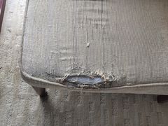 -杭州龙禧福朋喜来登酒店