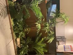 -点心传说·粤菜点心(佐阾虹湾店)