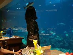 -海棠湾洲际-涛·海底餐厅·美人鱼·自助餐·海底隧道