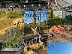 -无锡动物园·太湖欢乐园