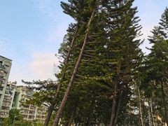 -汕头辉记肠粉王(悦邻荟店)