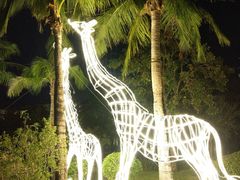 -惠州金海湾嘉华度假酒店