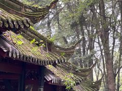-青城山