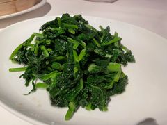清炒豆苗-苏浙总会(国金中心店)