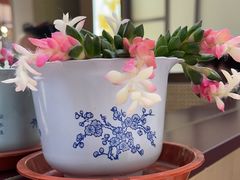 -双东酒店(东关街店)