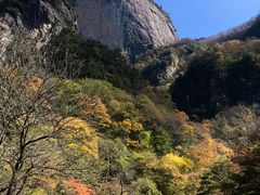 -青峰峡国家森林公园