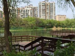 -新江湾城公园