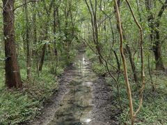 -同里国家湿地公园